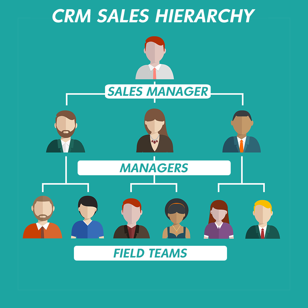 organizational chart 