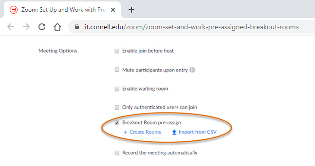 zoom meeting options