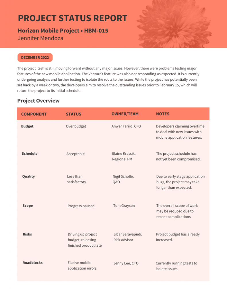 Project Status Report