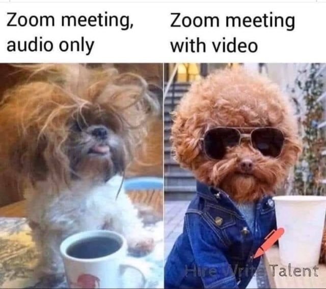 Remote Zoom meeting Audio Video