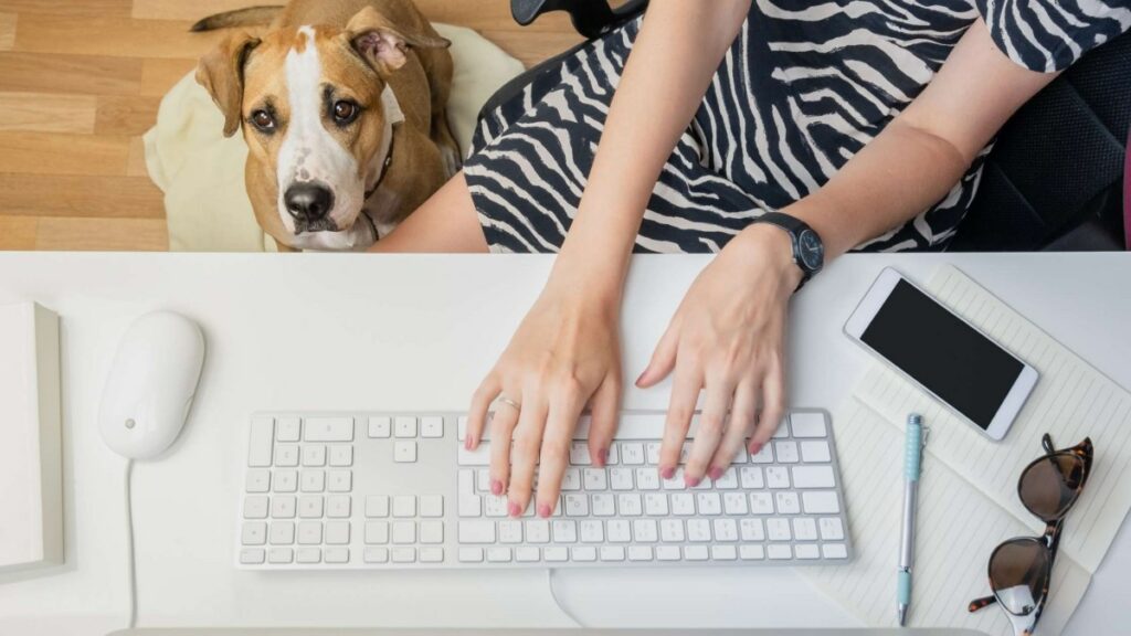 Pets in Office