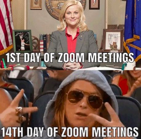 Zoom Meetings