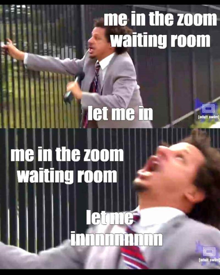 Zoom Waiting Rooms