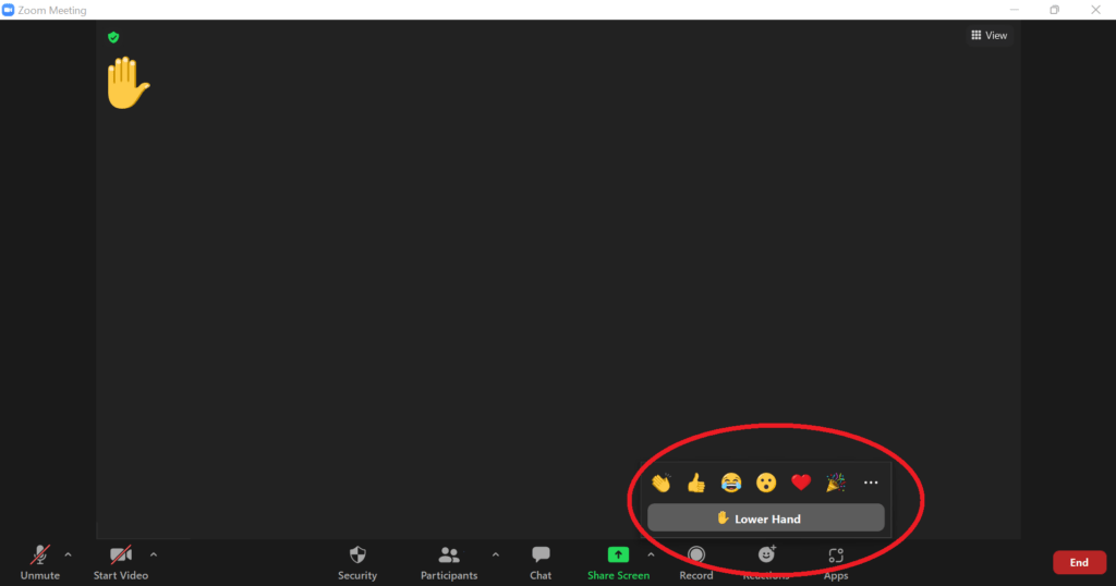 lower hand in zoom