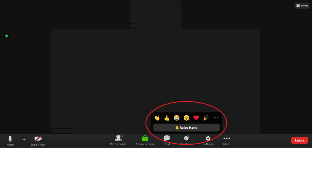 raise hand option in zoom