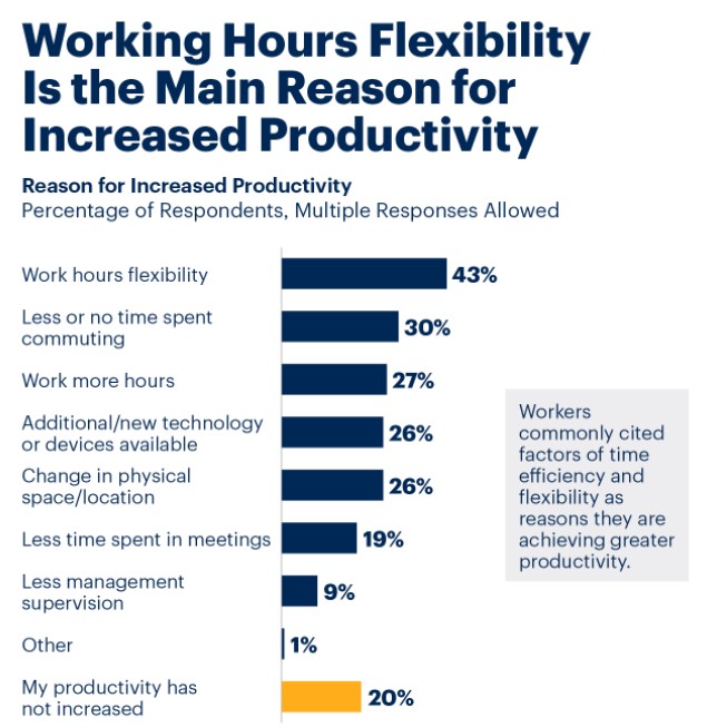 Work Hours Flexibility vs Productivity