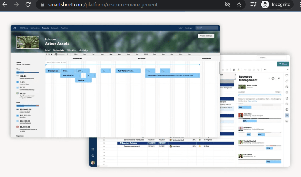 Resource Plan to connect to your spreadsheet