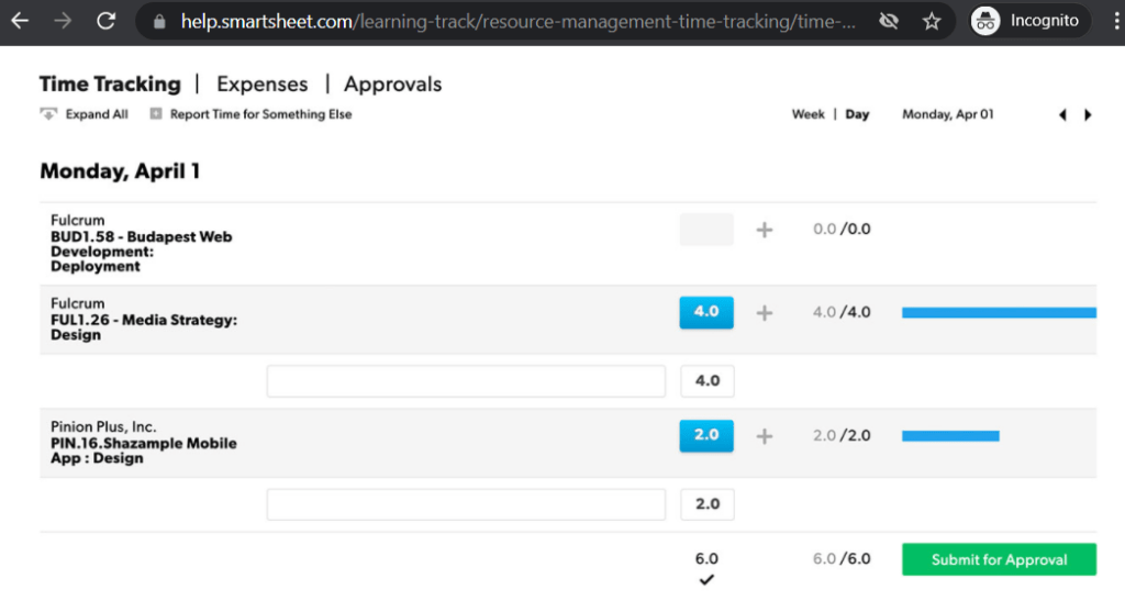 Time & Expenses tab smartsheet