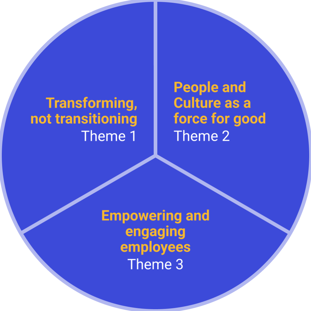 People and Culture priorities grouped themes