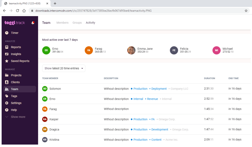 Toggl Team Management