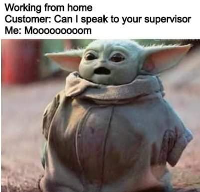 WFH Customer Service