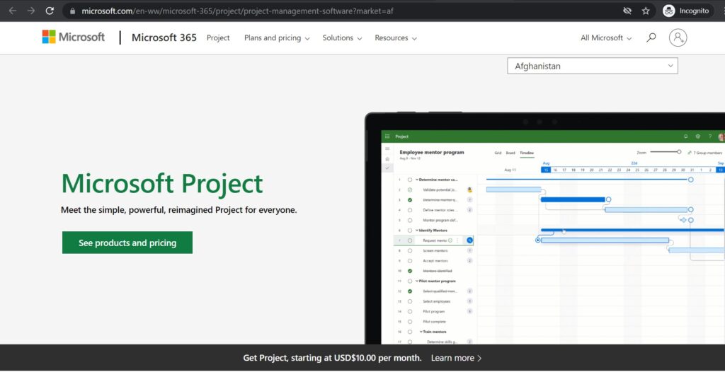 microsoft project