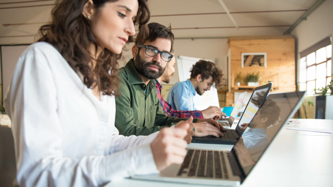 Software development team structure