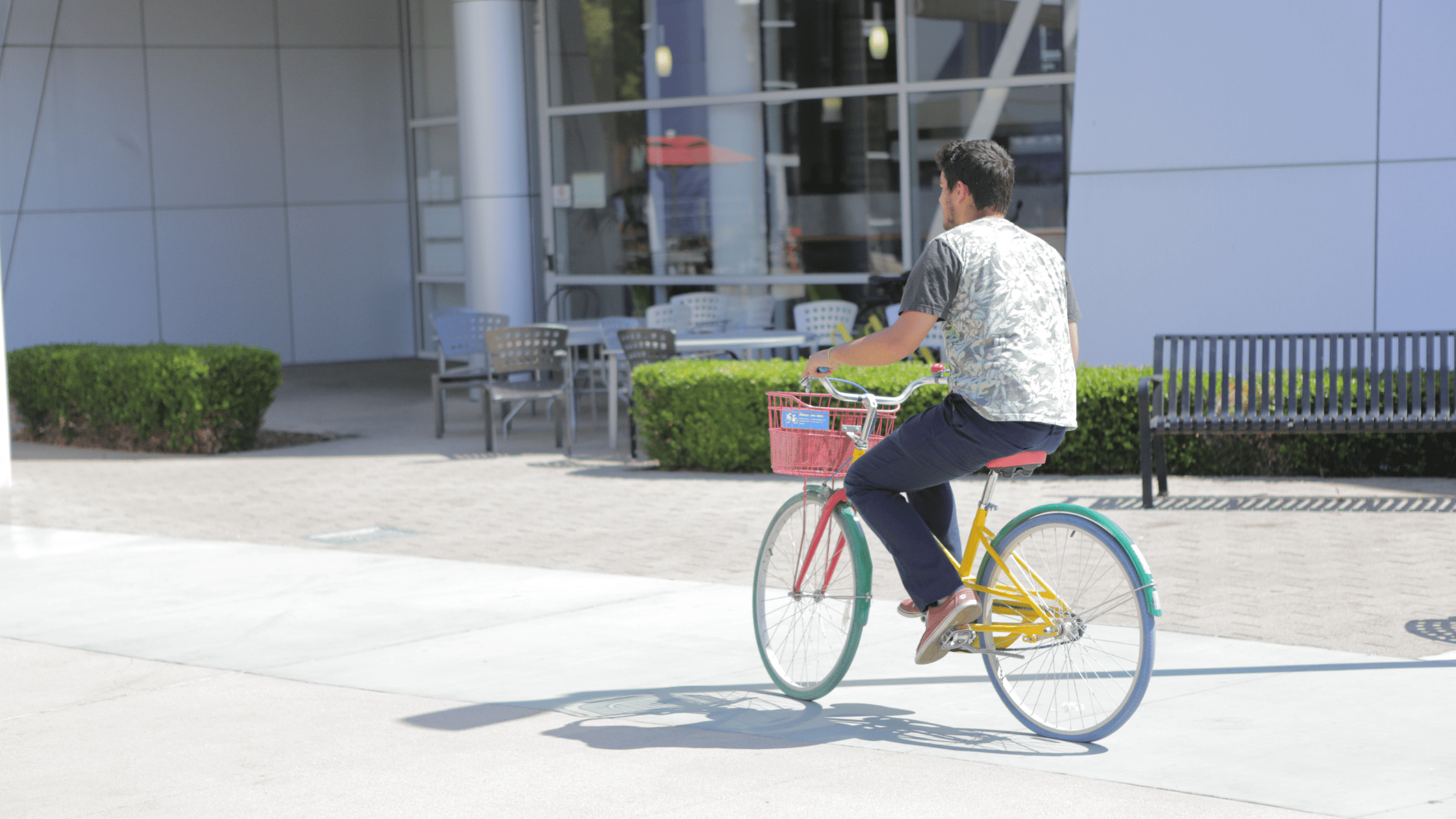 Google remote job opportunities